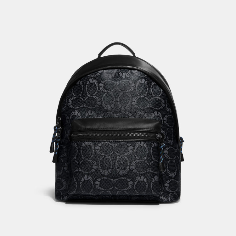 COACH × Michael B. Jordan 'Blue The Great: The Art of