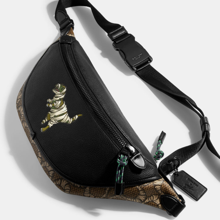 COACH × Michael B. Jordan 'Blue The Great: The Art of