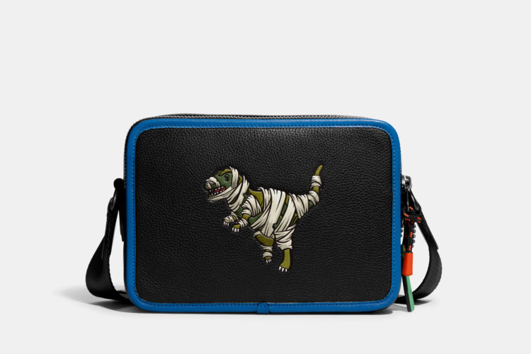 COACH × Michael B. Jordan 'Blue The Great: The Art of