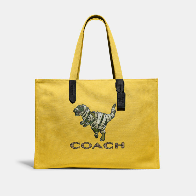 COACH × Michael B. Jordan 'Blue The Great: The Art of